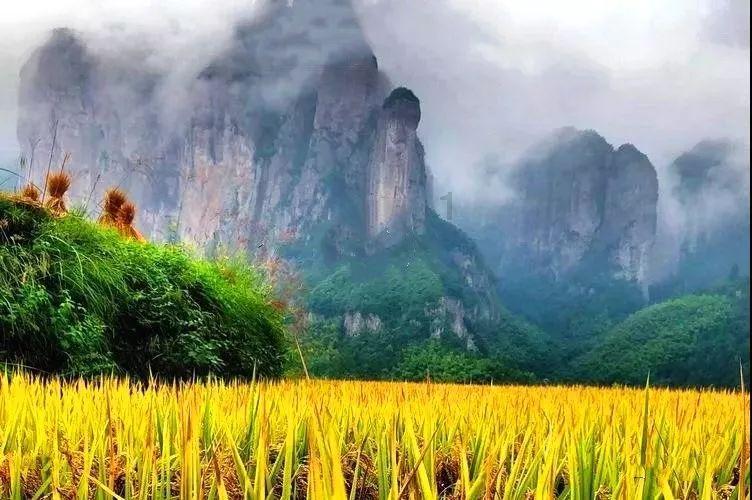 绿茵之巅