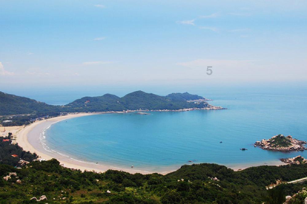 美国《发现》杂志:动物会有睡眠障碍吗