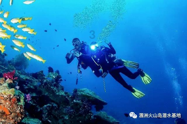 球球大作战下载最新版