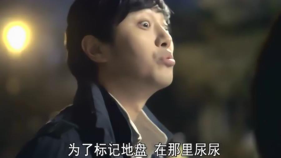 史小坑的爆笑生活12