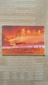 美丽大城市拼图