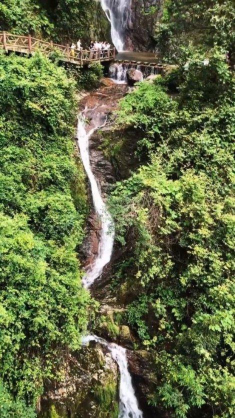 狂野飙客4