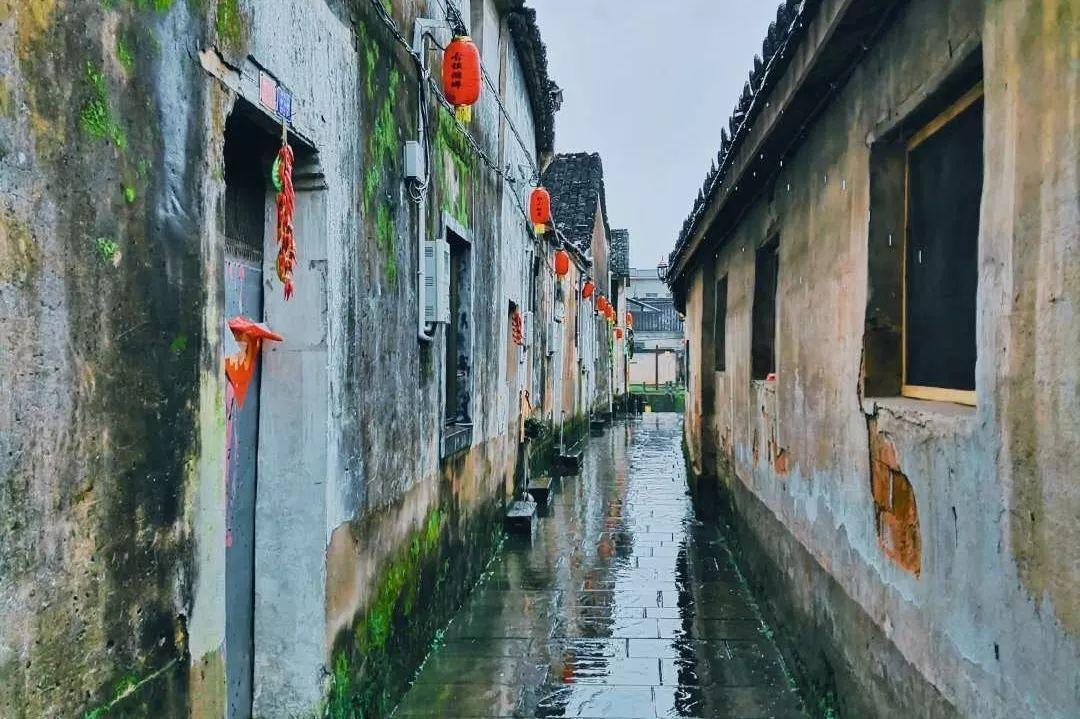逃出林中村